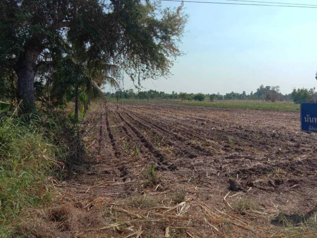 ขาย ที่ดิน ทำการเกษตร ติดถนนลาดยาง กะบกเตี้ย เนินขาม ชัยนาท