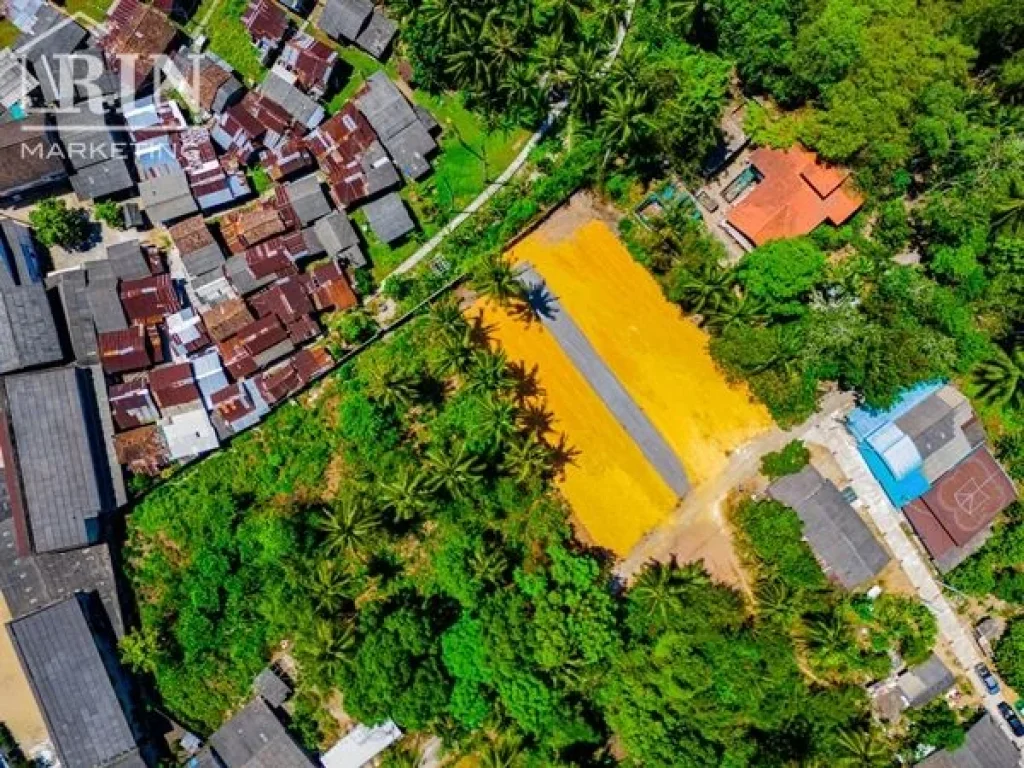 แบ่งขายที่ดินก่อนถึงที่ว่าการอำเภอหนองจิก ปัตตานี -เนื้อที่