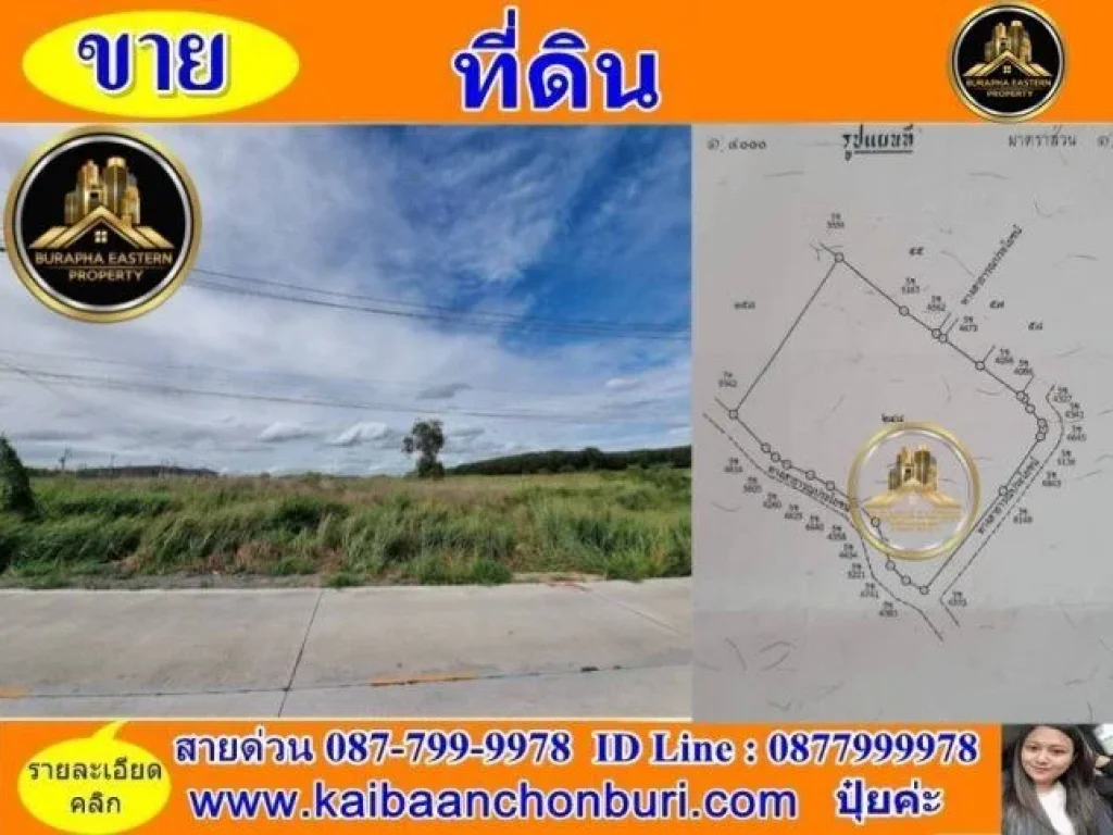 ขายด่วนมากที่ดิน 30 ไร่ระยองเหมาะสำหรับทำบ้านจัดสรรขายถูกมาก