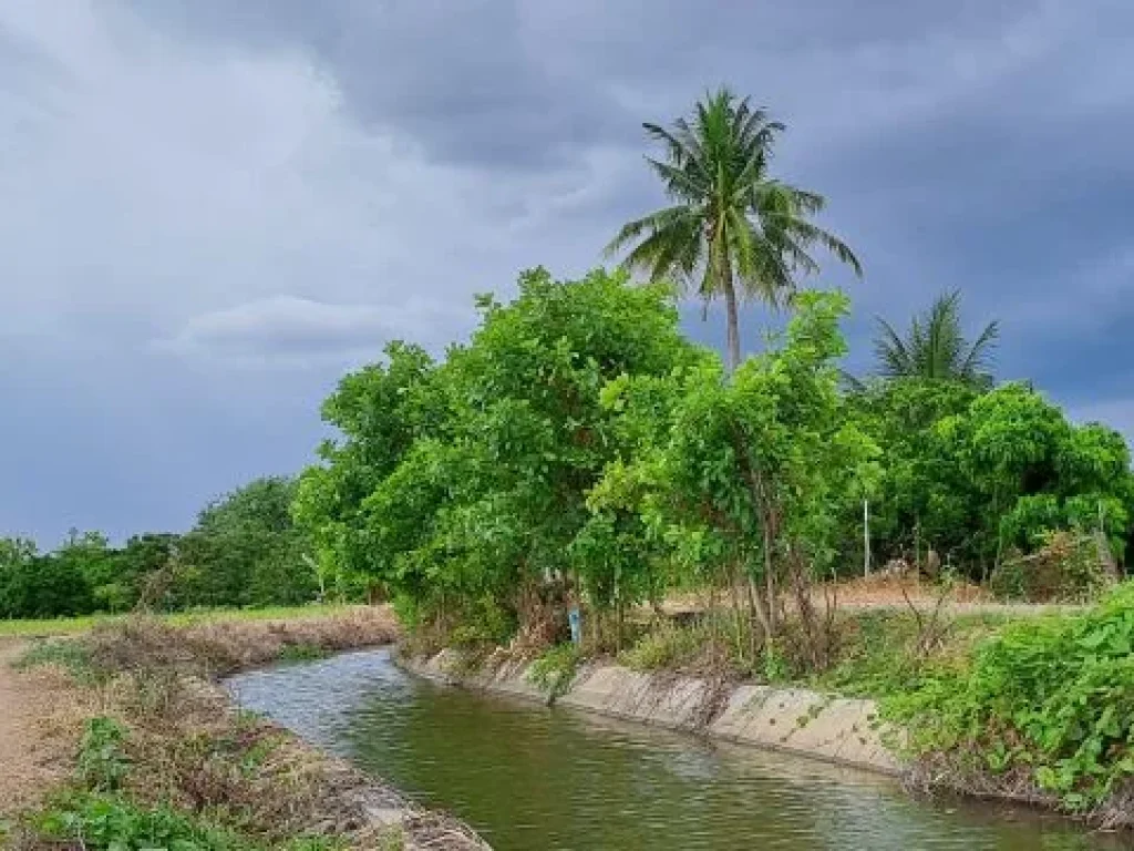 ขายสวนผสมบ่อปลา ไฟฟ้าน้ำประปาพร้อม วิวสวยเหมาะทำบ้านสวน