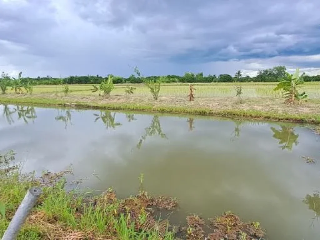 ขายสวนผสมบ่อปลา ไฟฟ้าน้ำประปาพร้อม วิวสวยเหมาะทำบ้านสวน