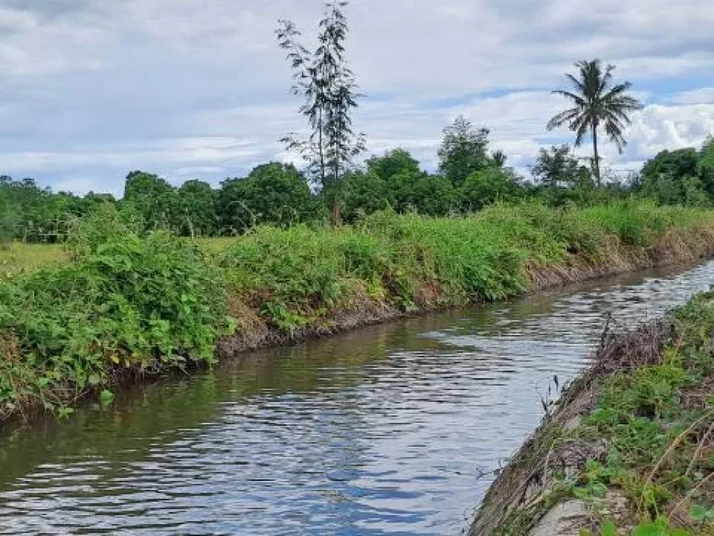 ขายสวนผสมบ่อปลา ไฟฟ้าน้ำประปาพร้อม วิวสวยเหมาะทำบ้านสวน