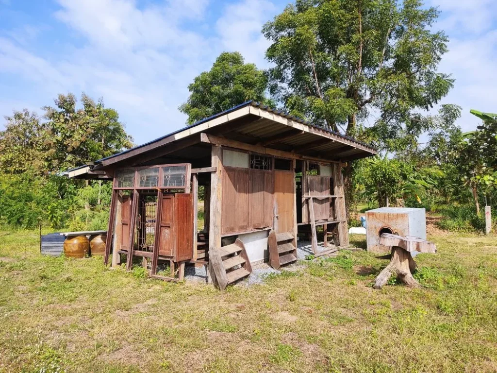 ที่ดินสวยทำบ้านสวนแปลงเล็ก บ้านไม้ พร้อมแปลงเกษตร สระหน้าบ้าน