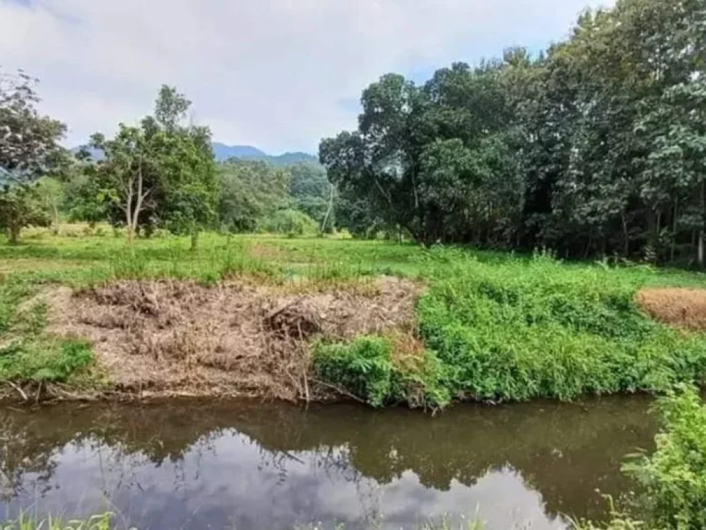 ขายที่ดินติดลำห้วยแม่ออนบ้านออนเหนือถมดินสูงพร้อมโอน