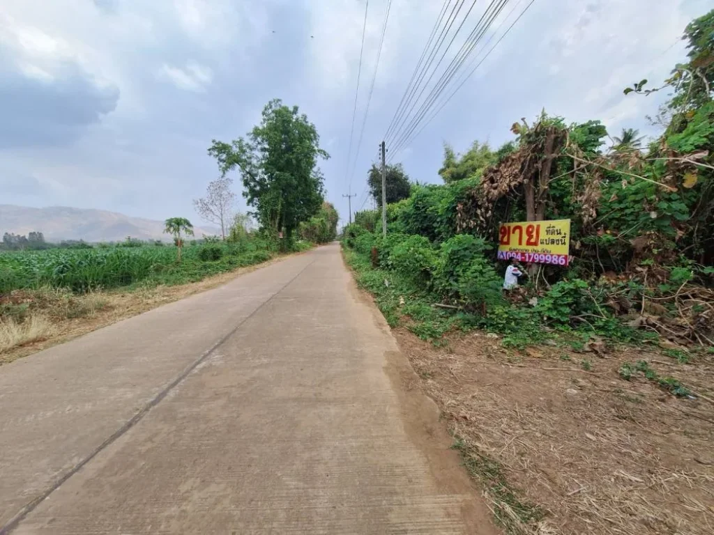 ที่ดินเปล่า บ้านดงกะถิน หนองไผ่ เพชรบูรณ์ ติดถนนสาธารณะ