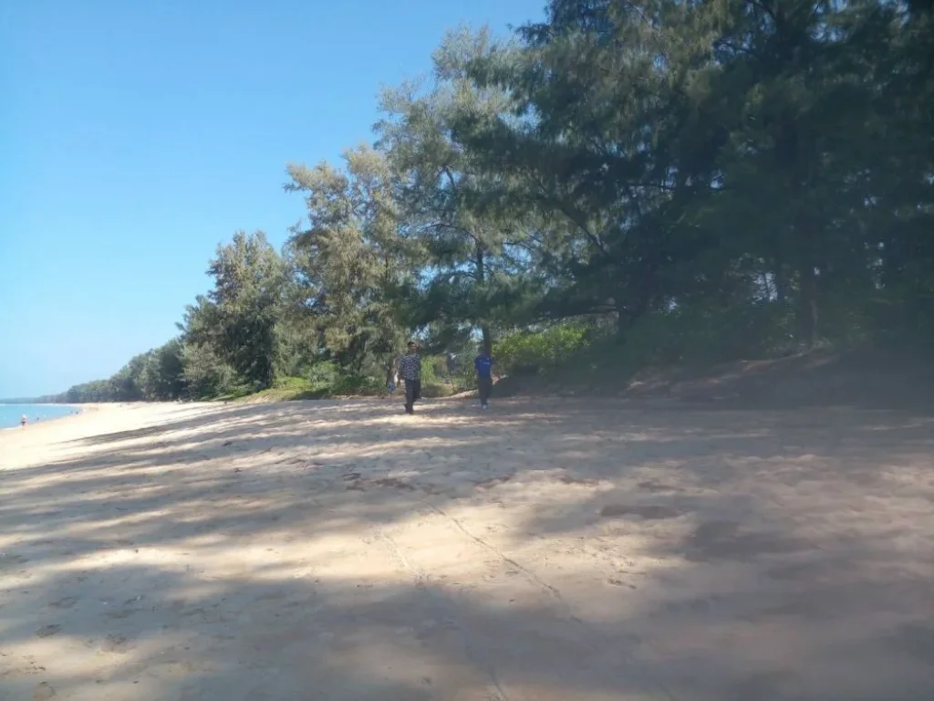 ขายที่ดินภูเก็ตแปลงงาม สวยมาก หาดไม้ขาว 31ไร่