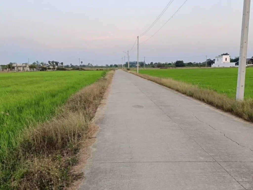 ขายที่ดินติดถนนคอนกรีต 200 ตรวบรรยากาศดีวิวทุ่งนา หนองดินแดง