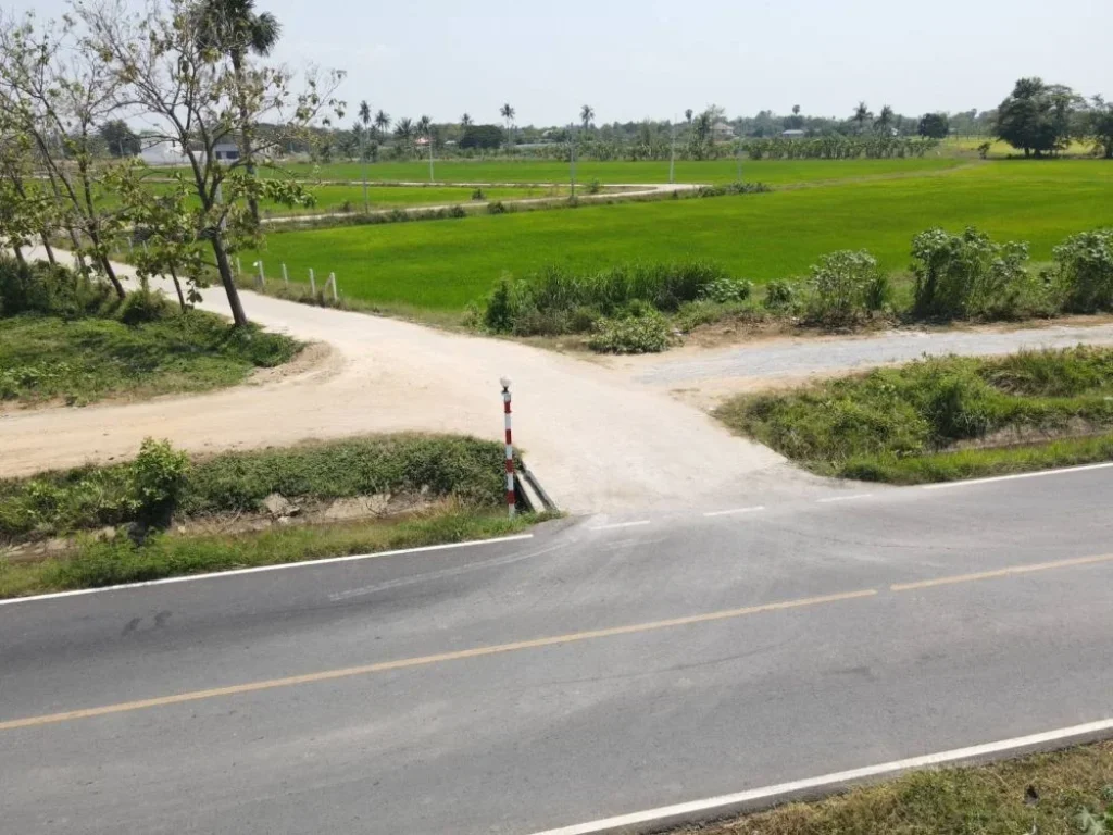 ขายที่ดินติดถนนคอนกรีต 200 ตรวบรรยากาศดีวิวทุ่งนา หนองดินแดง