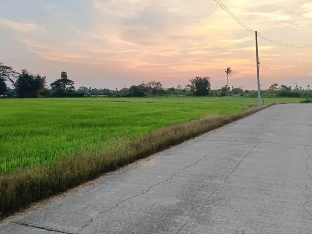 ขายที่ดินติดถนนคอนกรีต 200 ตรวบรรยากาศดีวิวทุ่งนา หนองดินแดง