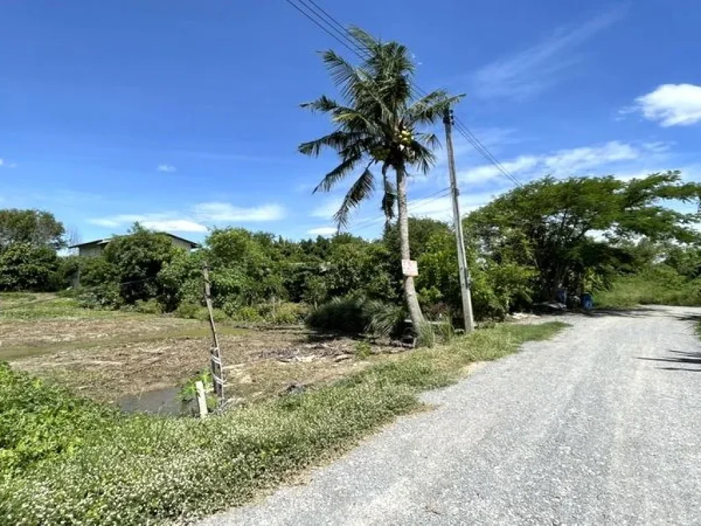 ขายที่ดิน โครงการศาลายาการ์เด้นท์ 14 ถนนศาลายา-นครชัยศรี