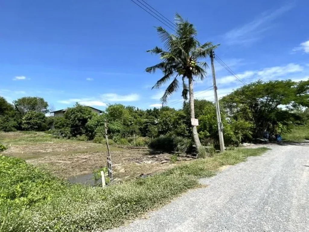 ขายที่ดิน โครงการศาลายาการ์เด้นท์ 14 ถนนศาลายา-นครชัยศรี