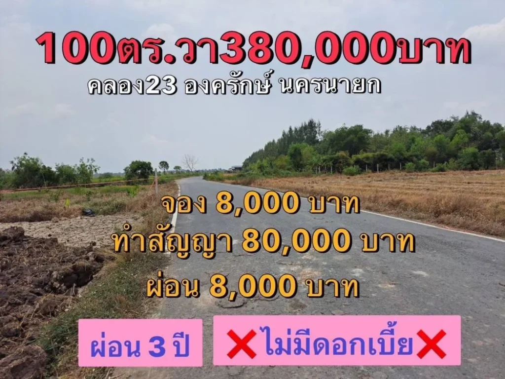 ขายที่ดินสวย คลอง23 ขนาด 100 ตรว ใกล้ถนนลาดยาง องครักษ์