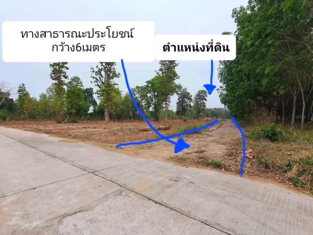 ขายที่ดินกุฉินารายณ์ มีโฉนด2ไร่ ท้ายหมู่บ้านแจนแลน