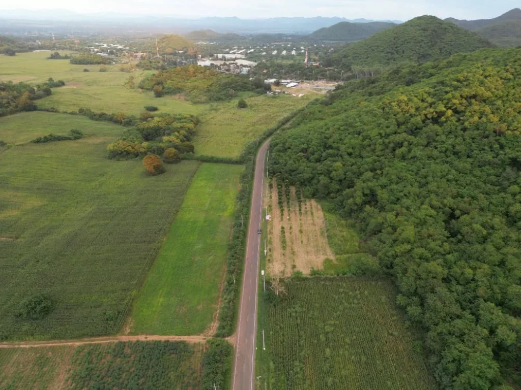 ขายที่ดินเขาใหญ่ ถนนธนะรัชต์ กิโลเมตรที่ 9 เพียง 550 เมตร