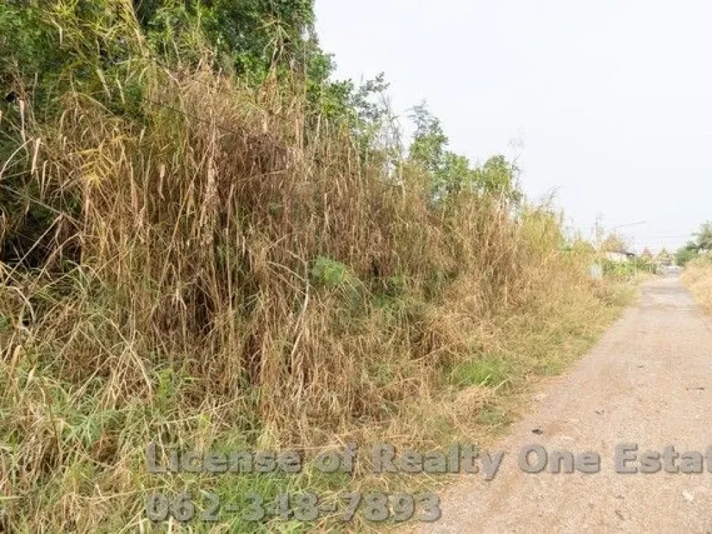 ขายที่ดิน ตคลองควาย อสามโคก จปทุมธานี