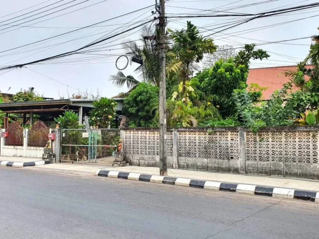 ขายที่ดินกาฬสินธุ์ ใกล้อนุสาวรีย์พระยาชัยสุนทร