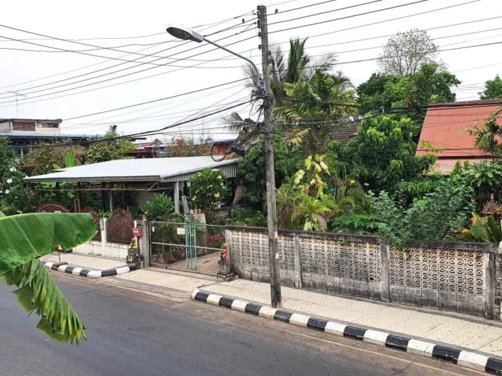 ขายที่ดินกาฬสินธุ์ ใกล้อนุสาวรีย์พระยาชัยสุนทร