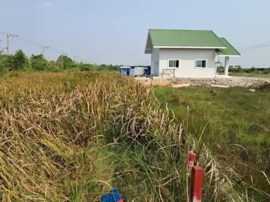 ขายที่ดินโฉนด เนื้อที่ 70 ตรว เหมาะสำหรับสร้างบ้านพักอาศัย