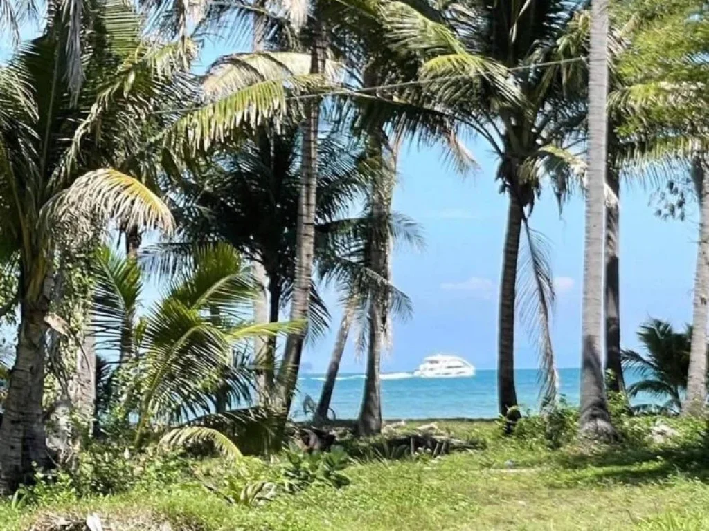 ขาย ที่ดินแปลงสวย ติดทะเลหาดในยาง ภูเก็ต พื้นที่ 19-2-62ไร่