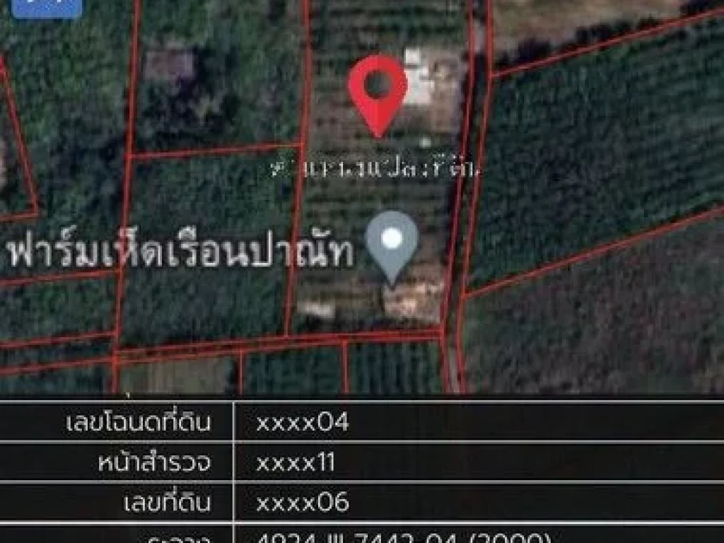 ขายด่วน บ้านพร้อมที่ดินสวนยางพารา ตำบล นาหมื่นศรี อำเภอนาโยง