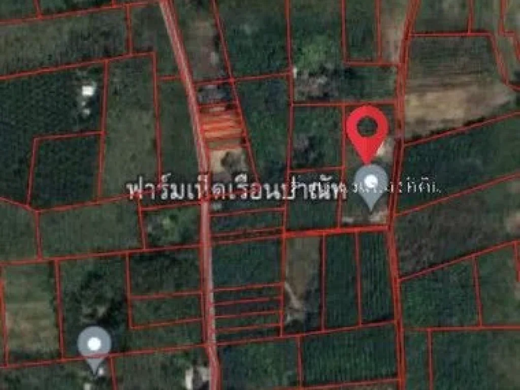 ขายด่วน บ้านพร้อมที่ดินสวนยางพารา ตำบล นาหมื่นศรี อำเภอนาโยง