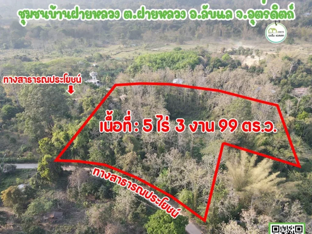 ที่ดินพร้อมต้นสักขนาดใหญ่ บ้านฝายหลวง อลับแล จอุตรดิตถ์