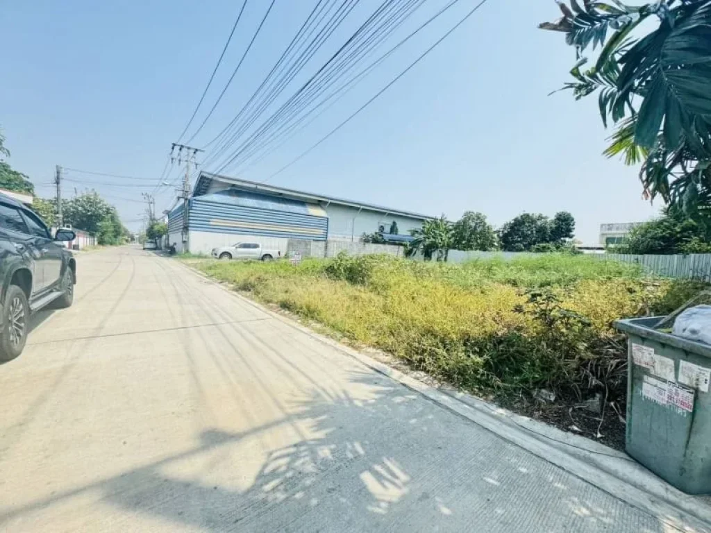 ขายถูกที่ดินเฉลิมพระเกียรติ48แยก14และทางแยก10-1 ประเวศ