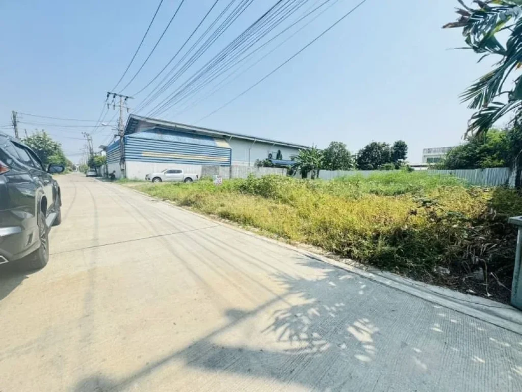 ขายถูกที่ดินเฉลิมพระเกียรติ48แยก14และทางแยก10-1 ประเวศ