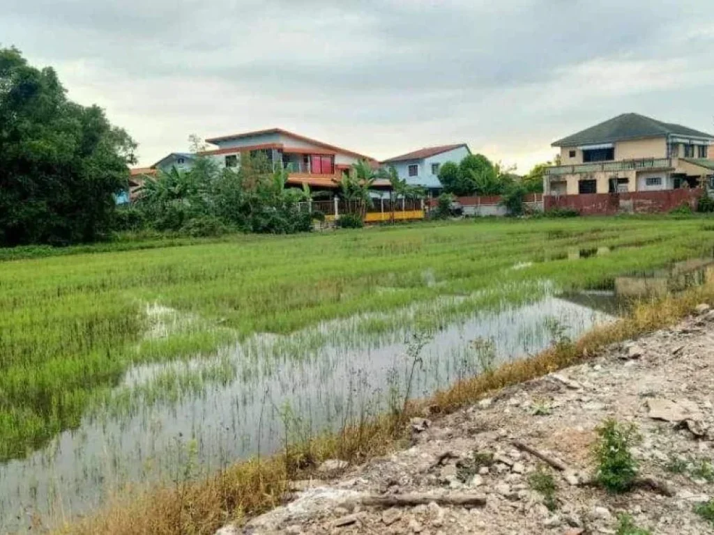 ขายถูกต่ำกว่าตลาด ที่ดินบนถนนเลียบคลองเปรมประชากร ซอยแจ่มสุข