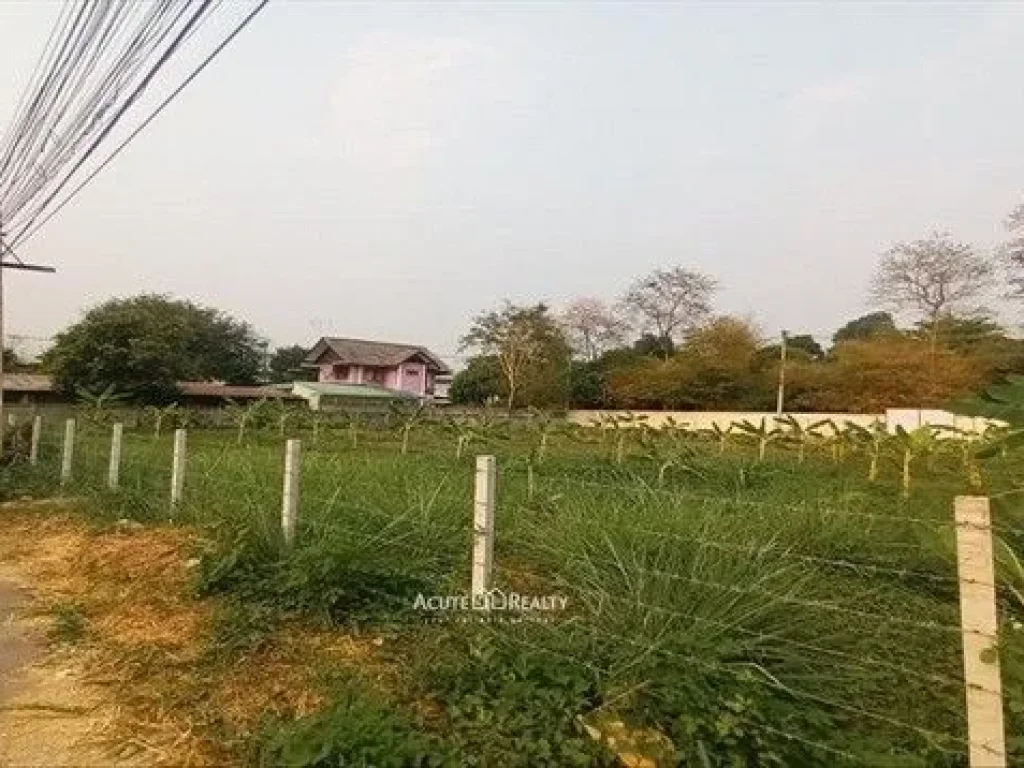 ขายที่ดิน ใกล้ตลาดหนองหอย จเชียงใหม่ ขนาด 1-0-0 ไร่