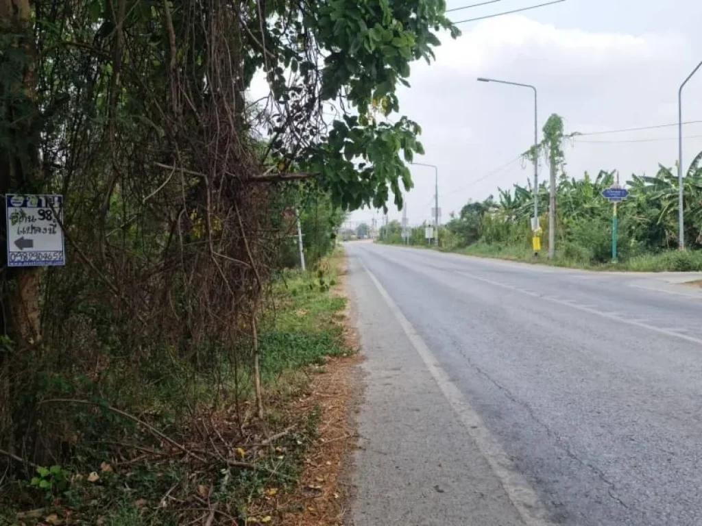 ขาย ที่ดินเปล่า เนื้อที่ 98 ตรว ถนนลำลูกกา คลอง12 ตลำไทร