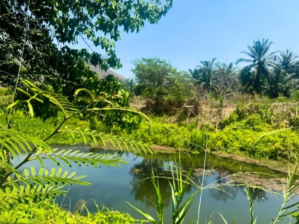 ที่ดินติดน้ำ สวย ที่ดินอยู่ตัวเมืองหนองหญ้าปล้อง เพชรบุรี