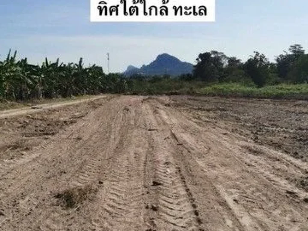 ขายที่ดินเปล่าบางเสร่ พื้นที่สีเหลือง ทำเลดี ใกล้ชายหาดสัตหีบ