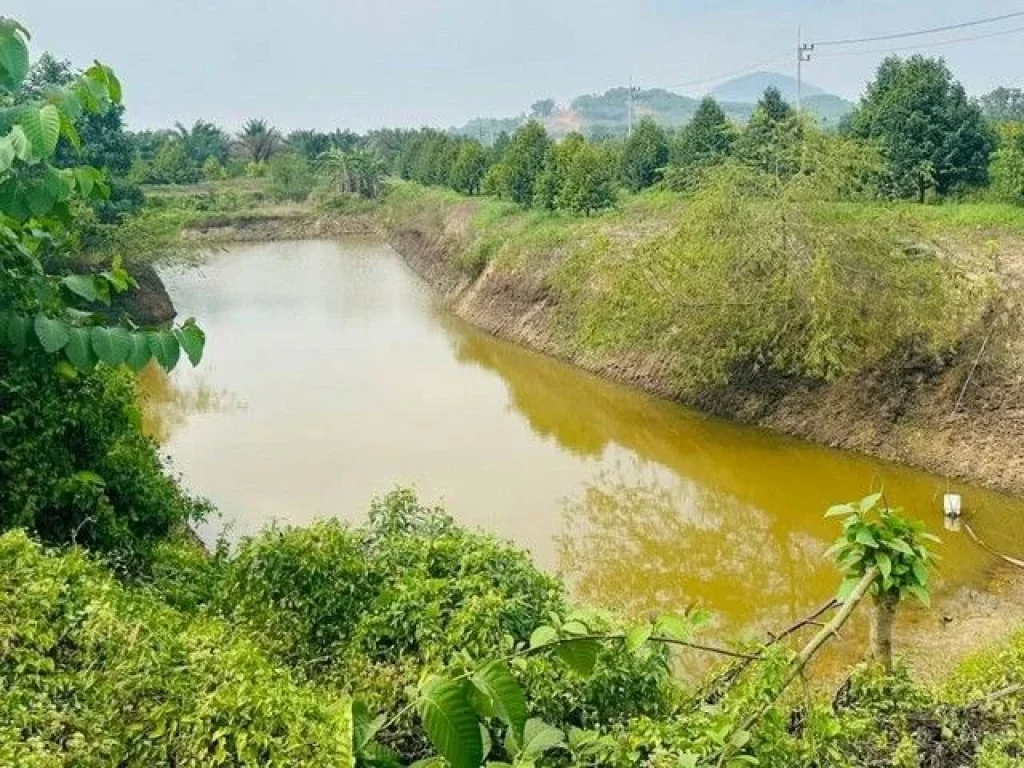 ขายสวนทุเรียน พร้อมที่ดินเนื้อที่กว่า 55 ไร่ ท่าใหม่ จันทบุรี