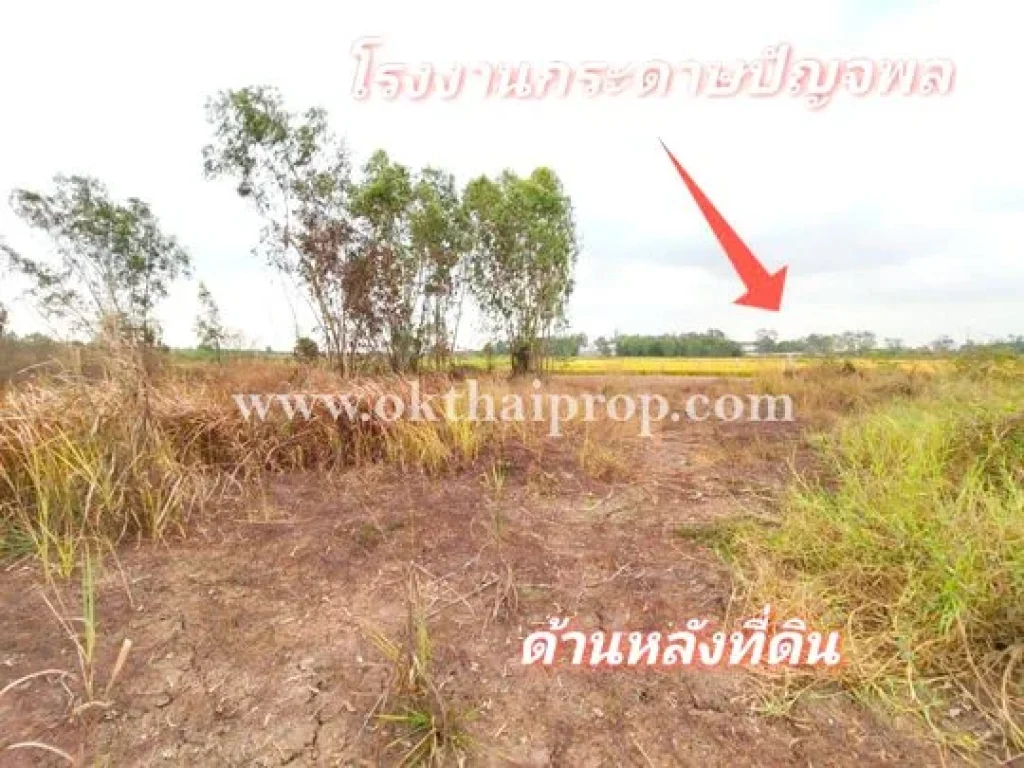 ที่ดิน ถนน3111 อบางไทร จพระนครศรีอยุธยา