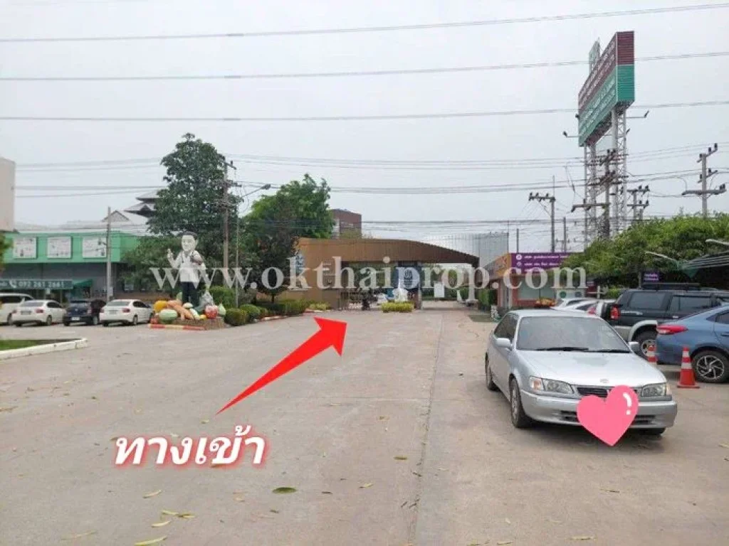 ที่ดิน ถนน3111 อบางไทร จพระนครศรีอยุธยา