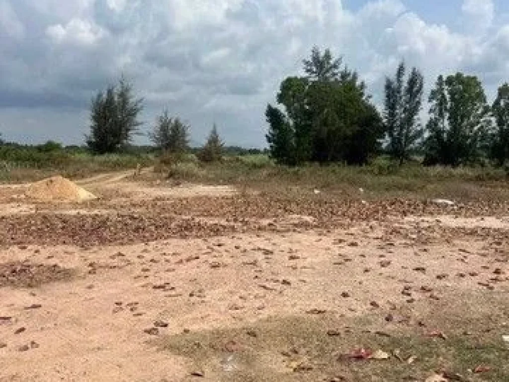 ขายที่ดินติดชายหาด แปลงงาม ตะพง เมืองระยอง จังหวัดระยอง