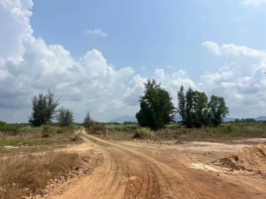 ขายที่ดินติดชายหาด แปลงงาม ตะพง เมืองระยอง จังหวัดระยอง