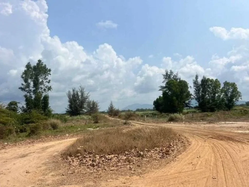 ขายที่ดินติดชายหาด แปลงงาม ตะพง เมืองระยอง จังหวัดระยอง