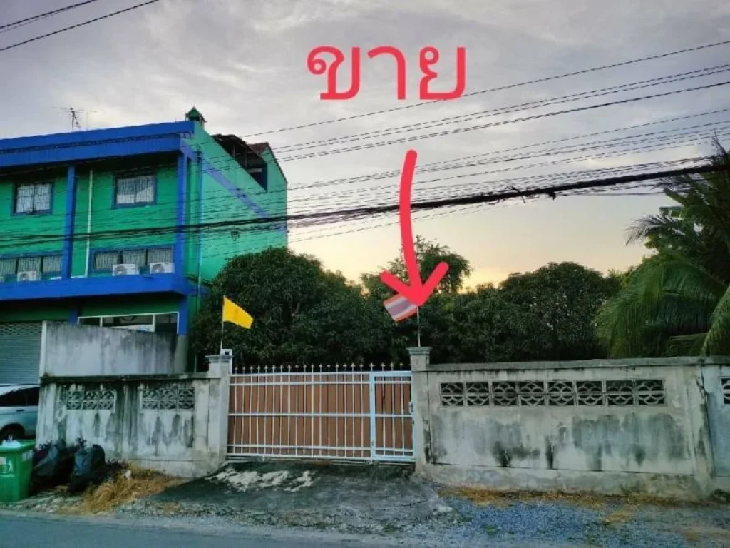 ขายถูกมาก ต่ำกว่าตลาด ที่ดินถมแล้ว 100 ตรว