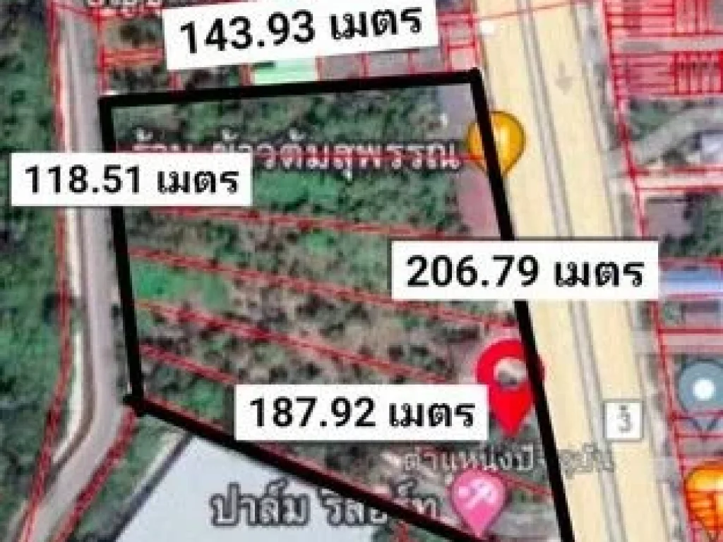 ขายที่ดินแยกเจ สัตหีบ ติดถนนสุขุมวิท ข้างไดนาสตี้