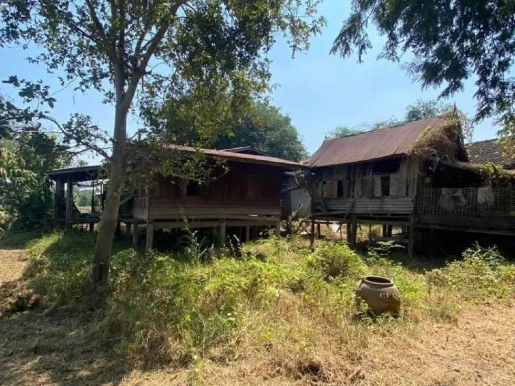 ขายที่ดินติดแม่น้ำ 2 ไร่ ใกล้ถนน 347 บ้านใหม่ พระนครศรีอยุธยา