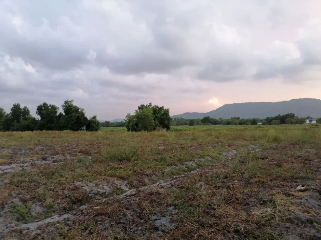 ขายที่ดิน 28 ไร่ เขารูปช้าง ตรงข้ามสวนสัตว์สงขลา ใกล้ทะเล