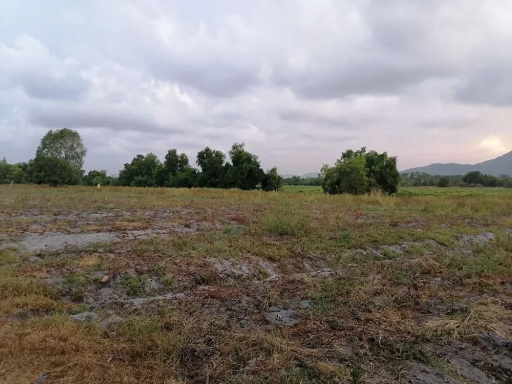 ขายที่ดิน 28 ไร่ เขารูปช้าง ตรงข้ามสวนสัตว์สงขลา ใกล้ทะเล