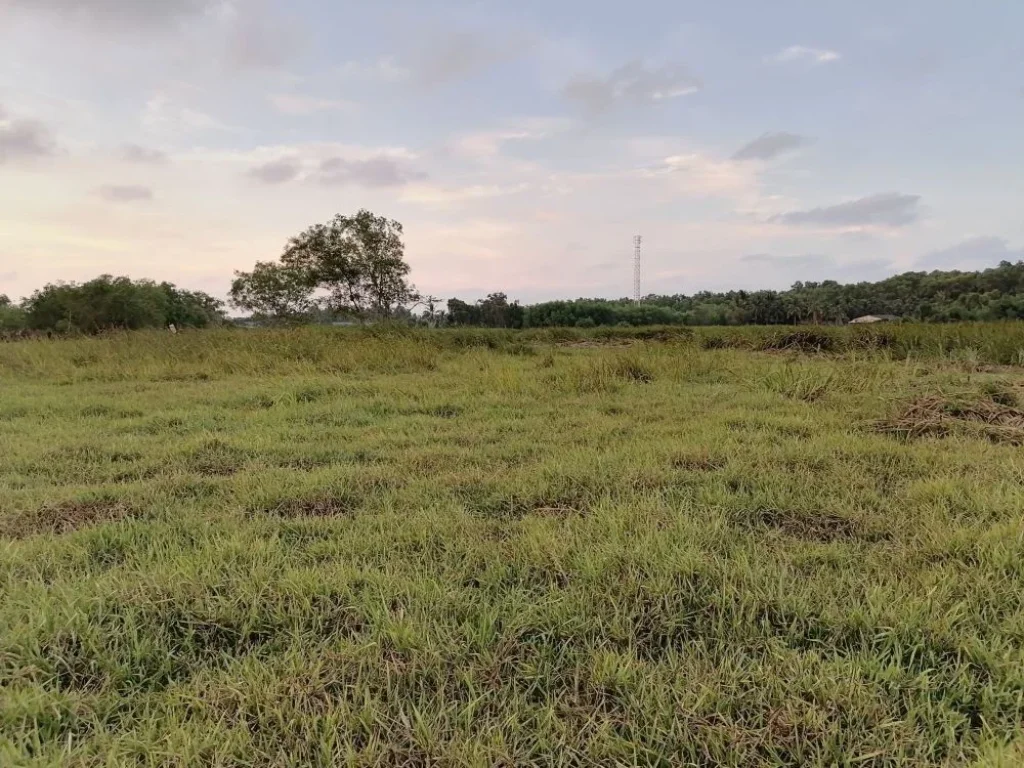 ขายที่ดิน 28 ไร่ เขารูปช้าง ตรงข้ามสวนสัตว์สงขลา ใกล้ทะเล