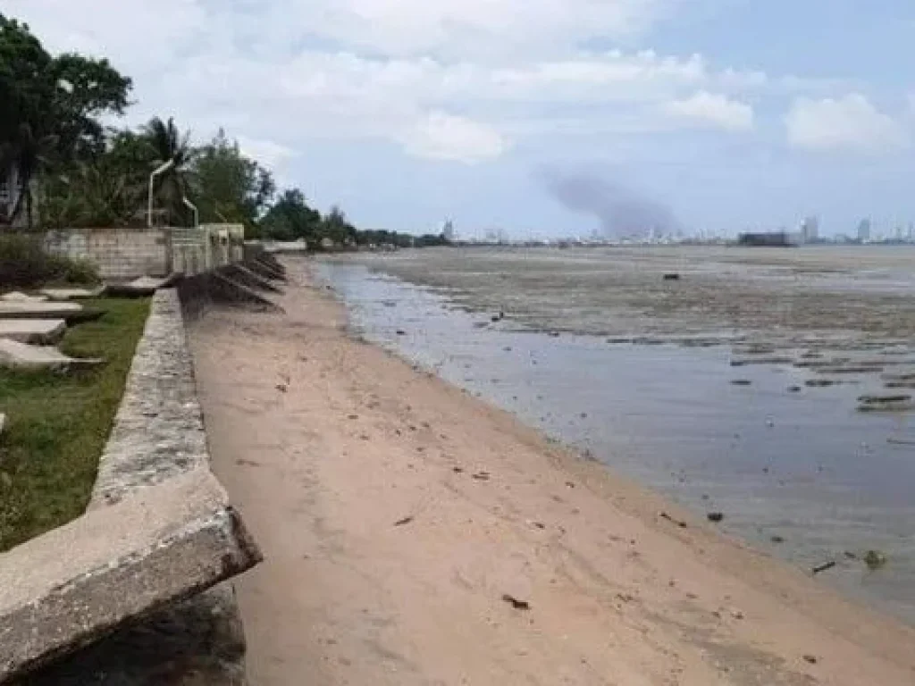 ขายที่ดินเปล่า ติดทะเลบางละมุง ชายหาดตัว ทำเลดีมาก พัทยา