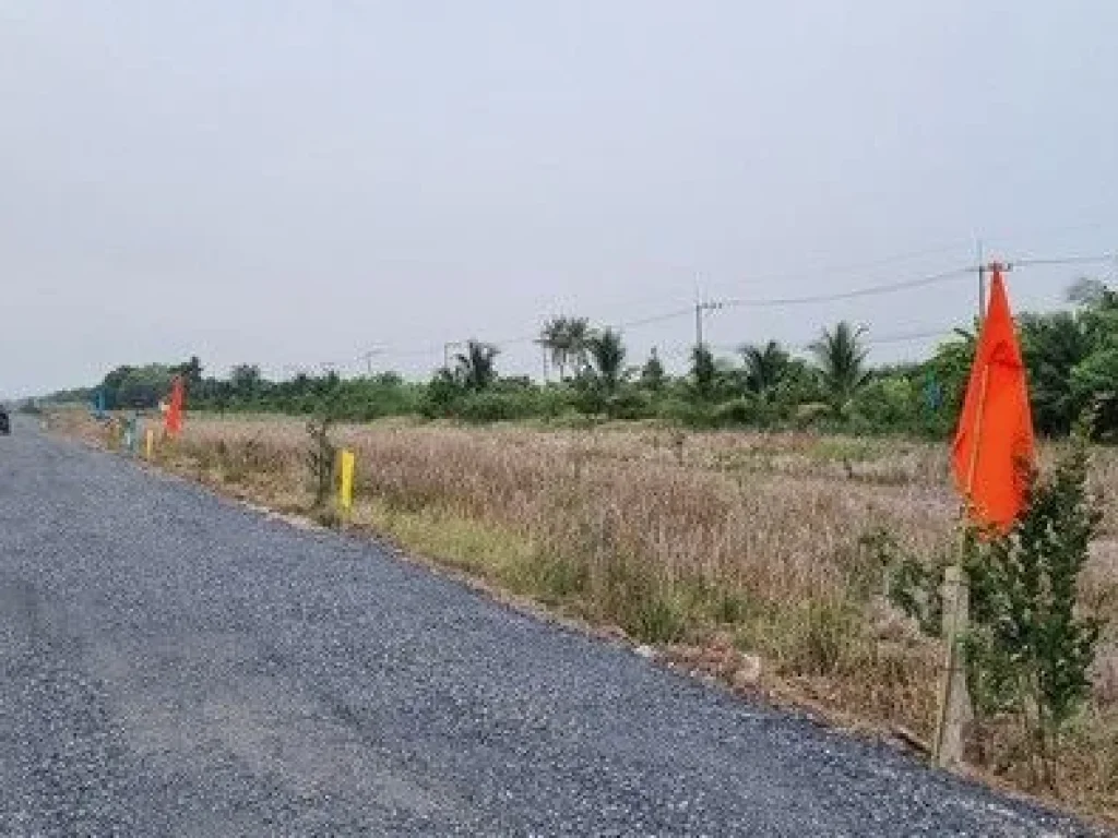 ที่ดินทำเลดี คลอง4คลองหลวง ทะลุคลอง 3 ได้ มีตั้งแต่ 100 ตรว