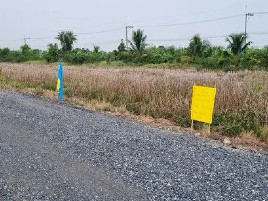 ที่ดินทำเลดี คลอง4คลองหลวง ทะลุคลอง 3 ได้ มีตั้งแต่ 100 ตรว