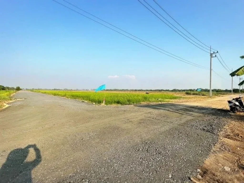 ที่ดินทำเลดี คลอง4คลองหลวง ทะลุคลอง 3 ได้ มีตั้งแต่ 100 ตรว