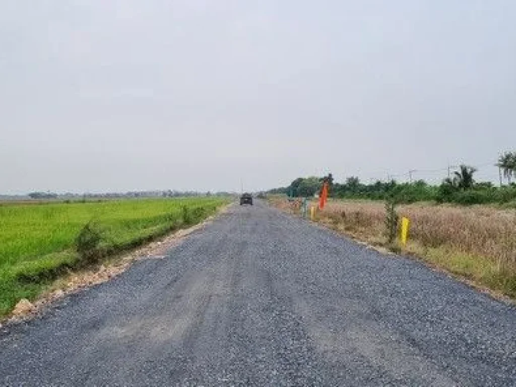 ที่ดินทำเลดี คลอง4คลองหลวง ทะลุคลอง 3 ได้ มีตั้งแต่ 100 ตรว